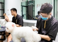 Kinh doanh thú cưng – Xu hướng kinh doanh hái ra tiền HOT hiện nay