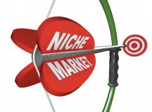 Thị trường ngách là gì? Rủi ro tiềm ẩn của thị trường ngách